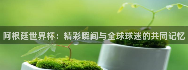 2026世预赛赛程表:阿根廷世界杯:精彩瞬间与全球球迷的共同记忆