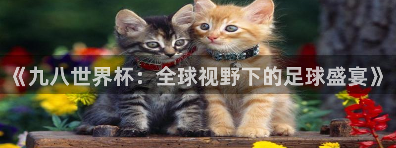 2026世界杯亚洲区预选赛赛程:《九八世界杯:全球视野下的足球盛宴》
