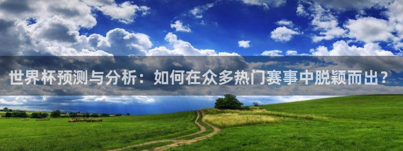2026年世界杯:世界杯预测与分析:如何在众多热门赛事中脱颖而出?