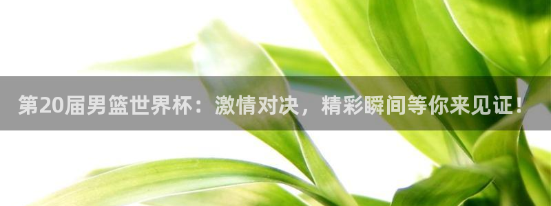 世界杯小组赛赛程:第20届男篮世界杯:激情对决,精彩瞬间等你来见证!