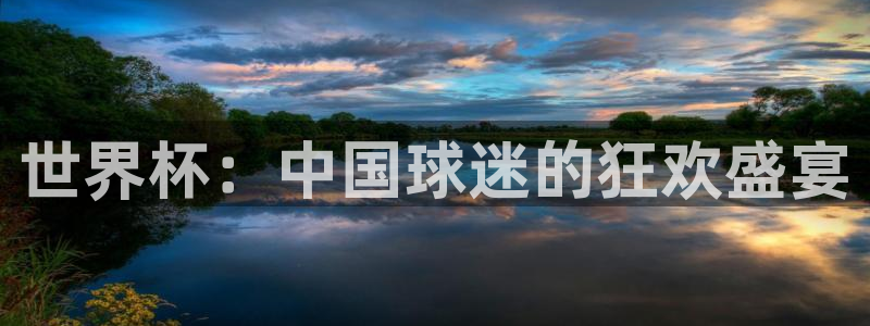 足球世界杯2026:世界杯:中国球迷的狂欢盛宴